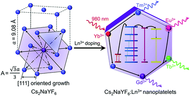 Graphical abstract: Enhancing multiphoton upconversion emissions through confined energy migration in lanthanide-doped Cs2NaYF6 nanoplatelets