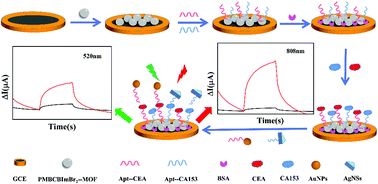 Graphical abstract: Dual-wavelength responsive photoelectrochemical aptasensor based on ionic liquid functionalized Zn-MOFs and noble metal nanoparticles for the simultaneous detection of multiple tumor markers