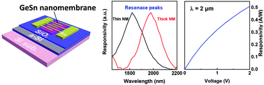 Graphical abstract: Transferable single-layer GeSn nanomembrane resonant-cavity-enhanced photodetectors for 2 μm band optical communication and multi-spectral short-wave infrared sensing