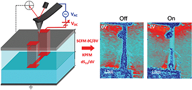 Graphical abstract: In operando charge transport imaging of atomically thin dopant nanostructures in silicon