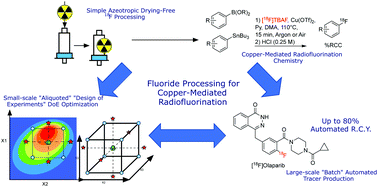 Graphical abstract: Scalable 18F processing conditions for copper-mediated radiofluorination chemistry facilitate DoE optimization studies and afford an improved synthesis of [18F]olaparib