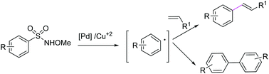 Graphical abstract: Pd-Catalyzed desulfitative arylation of olefins by N-methoxysulfonamide