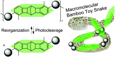 Graphical abstract: Synthesis of reversibly photocleavable pseudo-ladder polymers