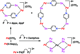 Graphical abstract: Application of 4-pyridylselenolate palladium macrocycles in Suzuki couplings
