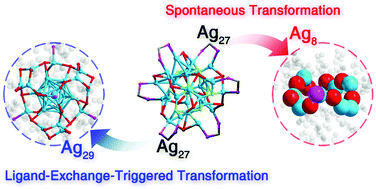 Graphical abstract: Structural determination of a metastable Ag27 nanocluster and its transformations into Ag8 and Ag29 nanoclusters
