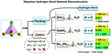 Graphical abstract: Na1.5Rb0.5PO3F·H2O: synthesis, properties, and stepwise reconstruction of the hydrogen bond network