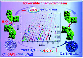 Graphical abstract: An inorganic Co-containing heteropolyoxoniobate: reversible chemochromism and H2O-dependent proton conductivity properties
