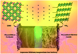 Graphical abstract: Exploration of hydrated lithium manganese oxide with a nanoribbon structure as cathodes in aqueous lithium ion and magnesium ion batteries
