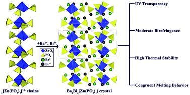 Graphical abstract: Ba2Bi2[Zn(PO4)4]: ionic-isolation-activated first barium bismuth zincophosphate with unprecedented ∞[Zn(PO4)4]10− chains and balanced overall performance