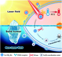 Graphical abstract: The precise anti-tumor effect of a metallopolysaccharide-based nanotheranostic: turning phototherapy into programmed chemotherapy