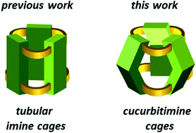 Graphical abstract: Cucurbitimines – imine cages with concave walls