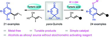 Graphical abstract: Hydroxyl group-directed, tartaric acid-catalyzed synthesis of meta-functionalized aryl ethers and phenols through domino conjugate addition/aromatization of para-quinols