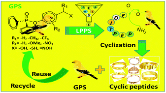 Graphical abstract: Head-to-tail cyclization for the synthesis of naturally occurring cyclic peptides on organophosphorus small-molecular supports