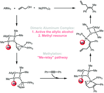 Graphical abstract: A mechanistic study on the regioselective Ni-catalyzed methylation–alkenylation of alkyne with AlMe3 and allylic alcohol