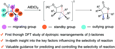 Graphical abstract: Elucidating the selectivity of dyotropic rearrangements of β-lactones: a computational survey