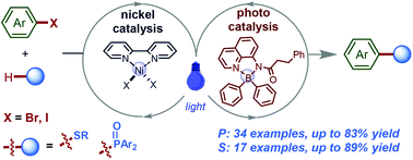 Graphical abstract: A nickel/organoboron catalyzed metallaphotoredox platform for C(sp2)–P and C(sp2)–S bond construction