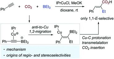 Graphical abstract: Origins of regio- and stereoselectivity in Cu-catalyzed alkyne difunctionalization with CO2 and organoboranes