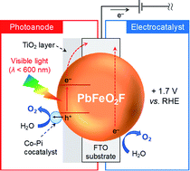 Graphical abstract: A bifunctional lead–iron oxyfluoride, PbFeO2F, that functions as a visible-light-responsive photoanode and an electrocatalyst for water oxidation