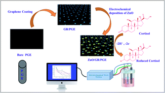 Graphical abstract: Non-enzymatic electrochemical determination of salivary cortisol using ZnO-graphene nanocomposites