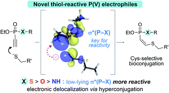 Graphical abstract: The mechanism behind enhanced reactivity of unsaturated phosphorus(v) electrophiles towards thiols