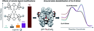 Graphical abstract: Accelerating the insertion reactions of (NHC)Cu–H via remote ligand functionalization