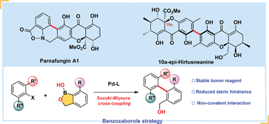 Graphical abstract: Enantioselective total synthesis of parnafungin A1 and 10a-epi-hirtusneanine