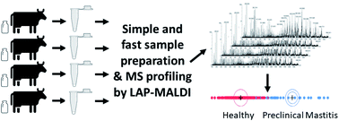 Graphical abstract: LAP-MALDI MS coupled with machine learning: an ambient mass spectrometry approach for high-throughput diagnostics