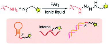 Graphical abstract: Site-specific DNA functionalization through the tetrazene-forming reaction in ionic liquids