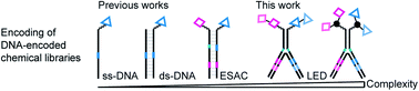 Graphical abstract: Universal encoding of next generation DNA-encoded chemical libraries