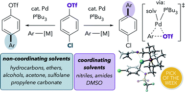 Graphical abstract: Solvent coordination to palladium can invert the selectivity of oxidative addition