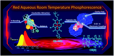 Graphical abstract: Red aqueous room-temperature phosphorescence modulated by anion–π and intermolecular electronic coupling interactions