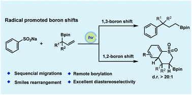 Graphical abstract: Radical boron migration of allylboronic esters