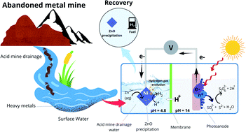 Graphical abstract: Photoelectrochemical concurrent hydrogen generation and heavy metal recovery from polluted acidic mine water