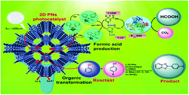 Graphical abstract: Photocatalytic activity of ultrathin 2DPNs for enzymatically generating formic acid from CO2 and C–S/C–N bond formation