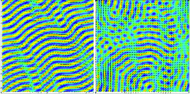 Graphical abstract: Coupling Turing stripes to active flows