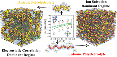 Graphical abstract: Structures of cationic and anionic polyelectrolytes in aqueous solutions: the sign effect