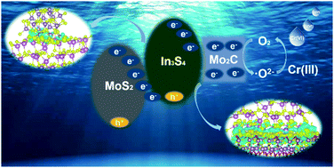 Graphical abstract: Z-Scheme Mo2C/MoS2/In2S3 dual-heterojunctions for the photocatalytic reduction of Cr(vi)