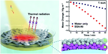 Graphical abstract: A metal nanoparticle assembly with broadband absorption and suppressed thermal radiation for enhanced solar steam generation