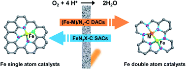 Graphical abstract: Recent progress on the synthesis and oxygen reduction applications of Fe-based single-atom and double-atom catalysts