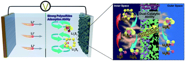 Graphical abstract: Dual electrocatalytic heterostructures for efficient immobilization and conversion of polysulfides in Li–S batteries