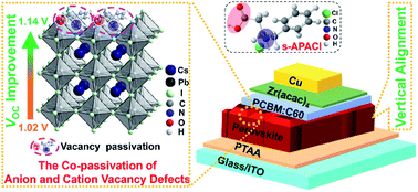 Graphical abstract: Molecular interactions and functionalities of an organic additive in a perovskite semiconducting device: a case study towards high performance solar cells