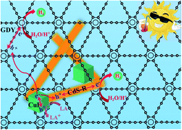 Graphical abstract: Construction of a tandem S-scheme GDY/CuI/CdS-R heterostructure based on morphology-regulated graphdiyne (g-CnH2n−2) for enhanced photocatalytic hydrogen evolution