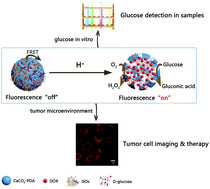 Graphical abstract: A dual-functional biomimetic-mineralized nanoplatform for glucose detection and therapy with cancer cells in vitro