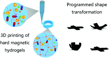 Graphical abstract: 3D printable, tough, magnetic hydrogels with programmed magnetization for fast actuation