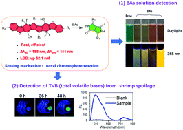 Graphical abstract: Development of a novel chromophore reaction-based fluorescent probe for biogenic amines detection
