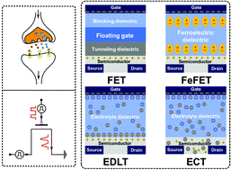 Graphical abstract: Thin-film transistors for emerging neuromorphic electronics: fundamentals, materials, and pattern recognition