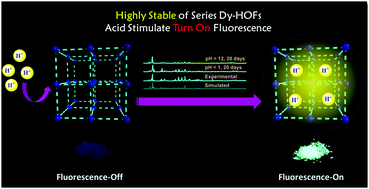 Graphical abstract: Substituents lead to differences in the formation of a series of dysprosium hydrogen-bonded organic frameworks with high stability and acid stimulus–response luminescence properties