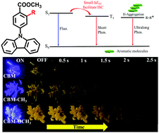 Graphical abstract: Designing organic room temperature phosphorescence with ultralong lifetime by substituent modification
