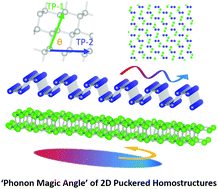 Graphical abstract: Phonon magic angle in two-dimensional puckered homostructures