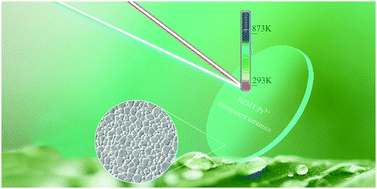 Graphical abstract: A wide temperature range dual-mode luminescence thermometer based on Pr3+-doped Ba(Zr0.16Mg0.28Ta0.56)O3 transparent ceramic